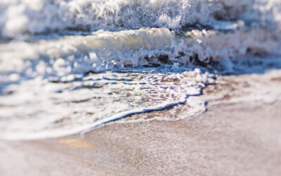 Summer IT Checklist: 5 Things Your Business Should Do Before Vacation Season